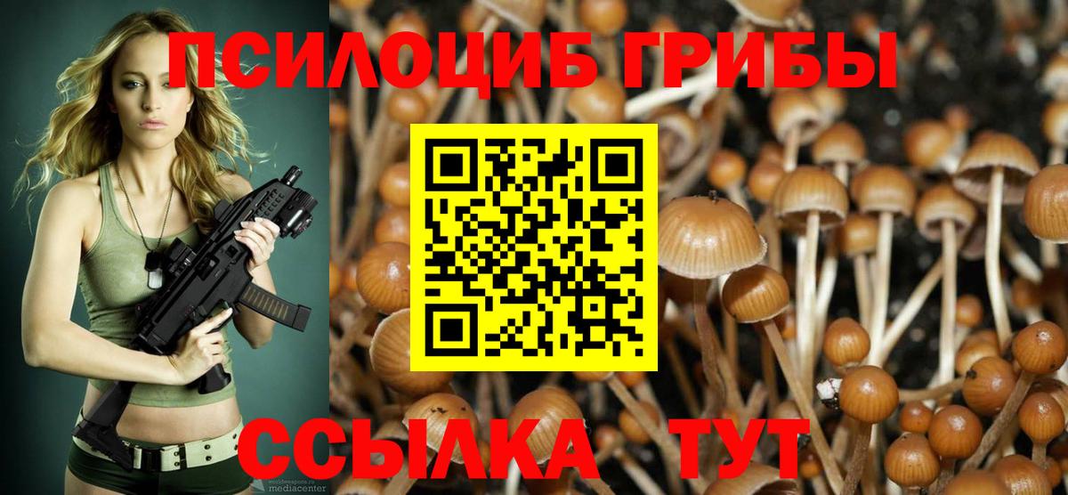 Псилоцибиновые грибы Magic Shrooms Арзамас