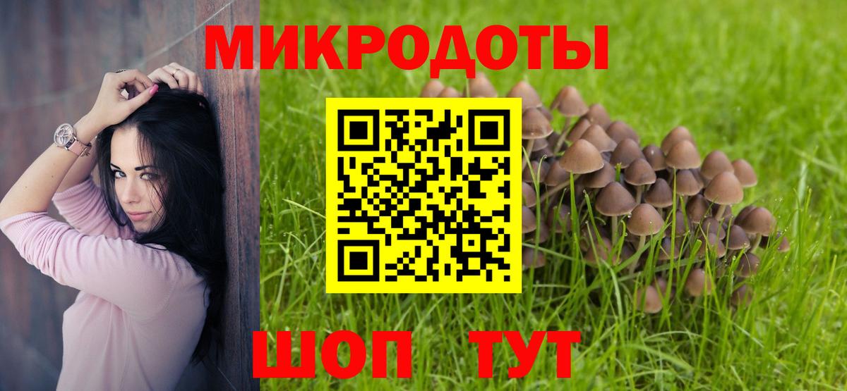 Галлюциногенные грибы Magic Shrooms  Вход с VPN  Арзамас 